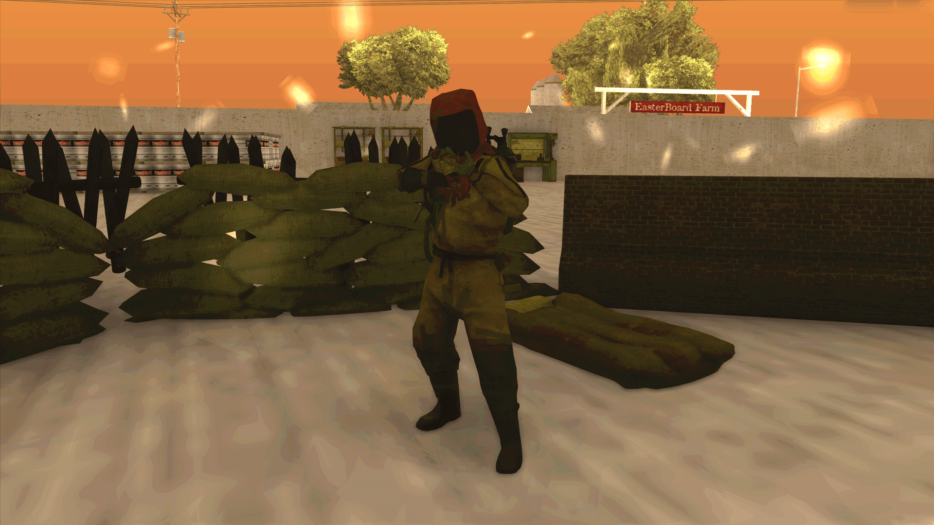 server image